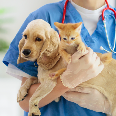 Clean & vet-formulated