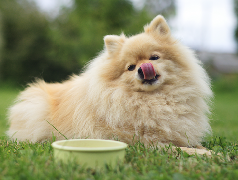 Delicious textures that make daily health easy