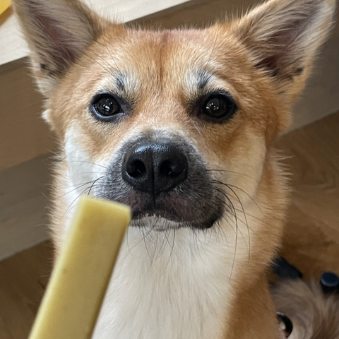 Soft, gentle texture