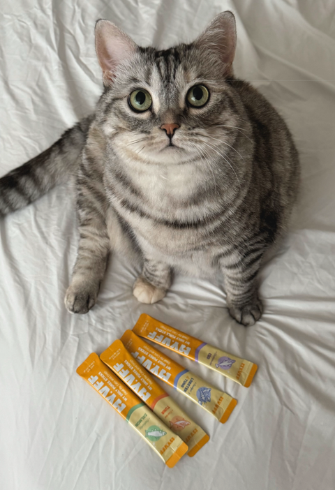 Picky-Eater Approved